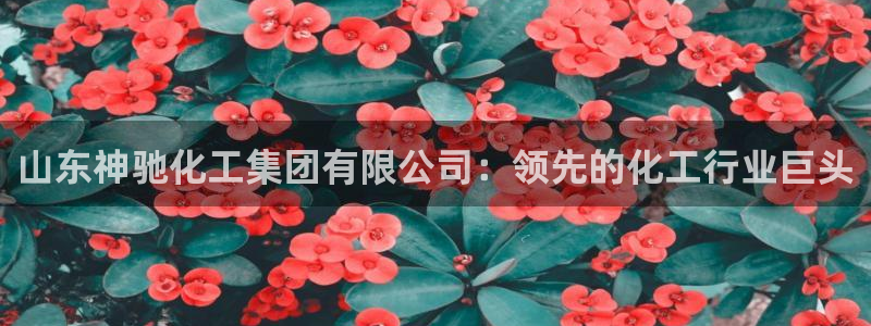 球盟会进不去：山东神驰化工集团有限公司：领先的化工行业巨头