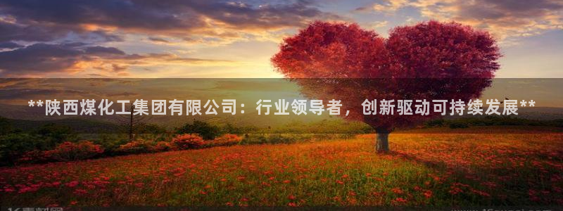 球盟会贴吧：**陕西煤化工集团有限公司：行业领导者，创新驱动