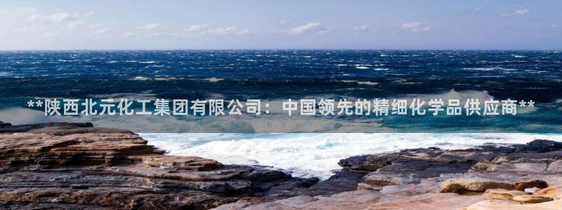 球盟会qmh电子网页版登录：**陕西北元化工集团有限公司：中