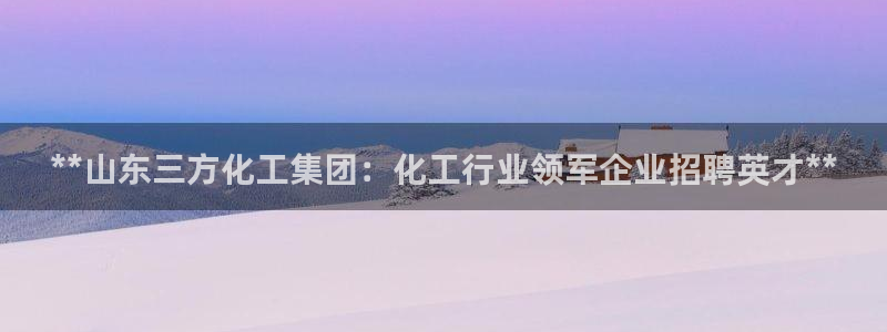 球盟会官方平台入口：**山东三方化工集团：化工行业领军企业招