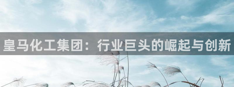 球盟会能提现吗