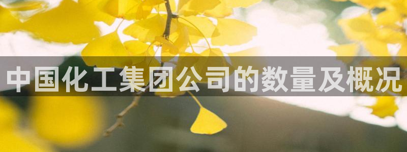 球盟会进不去吗