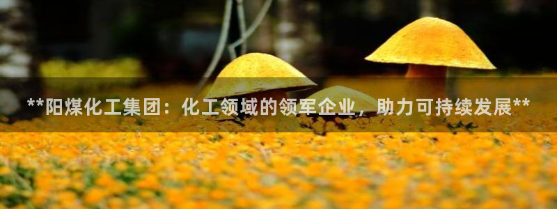 球盟会app：**阳煤化工集团：化工领域的领军企业，助力可持