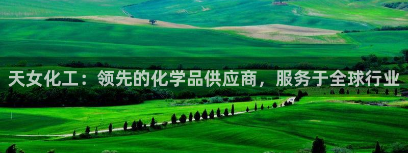 球盟会吧：天女化工：领先的化学品供应商，服务于全球行业