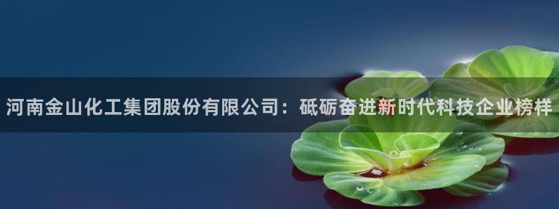 球盟会游戏几点玩合适：河南金山化工集团股份有限公司：砥砺奋进