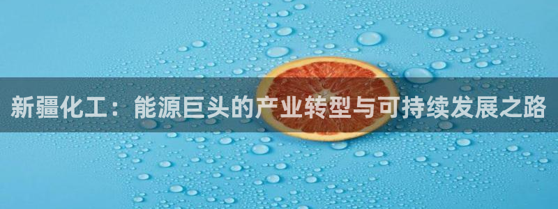 球盟会用的客服聊天是哪个软件