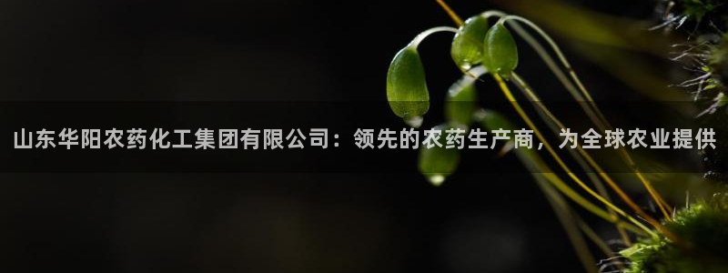 球盟会网页登录入口：山东华阳农药化工集团有限公司：领先的农药