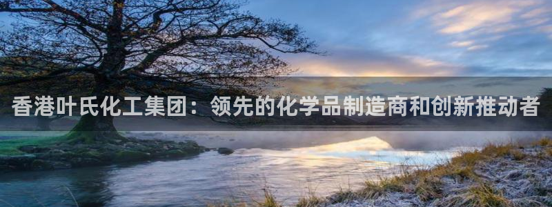 球盟会官方版下载地址：香港叶氏化工集团：领先的化学品制造商和