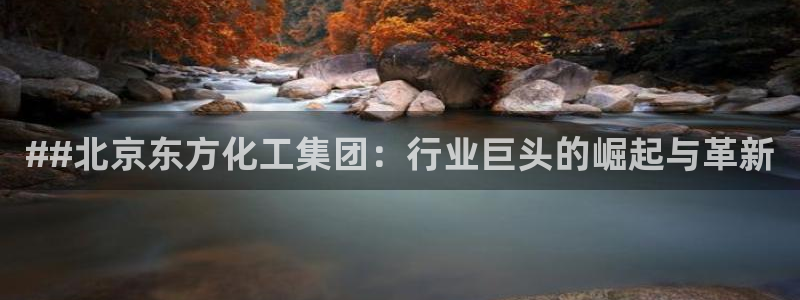 球盟会电子