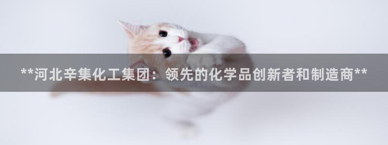 球盟会能退钱吗：**河北辛集化工集团：领先的化学品创新者和制