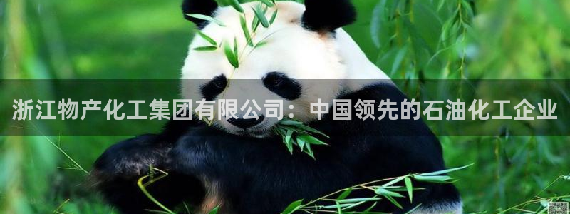 球盟会黑款吗是真的吗：浙江物产化工集团有限公司：中国领先的石