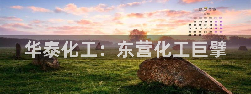 球盟会下载最新版：华泰化工：东营化工巨擘
