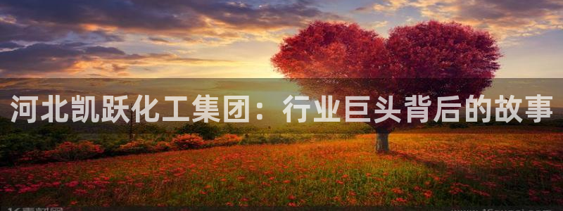 球盟会下款快吗