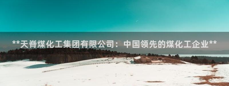 球盟会进不去球员吗：**天脊煤化工集团有限公司：中国领先的煤