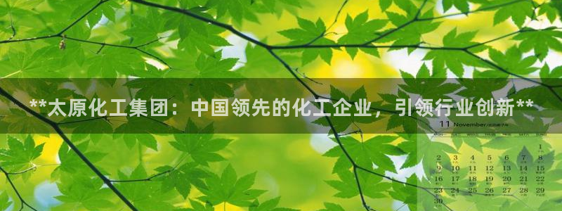 球盟会可以提现么现在：**太原化工集团：中国领先的化工企业，