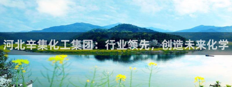 球盟会里面有打牌的嘛是真的吗：河北辛集化工集团：行业领先，创