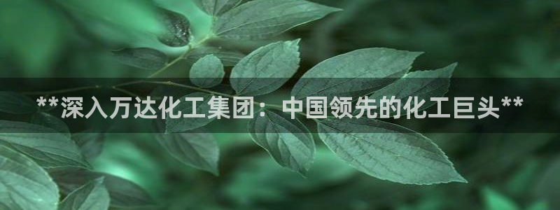 球盟会体验金：**深入万达化工集团：中国领先的化工巨头**