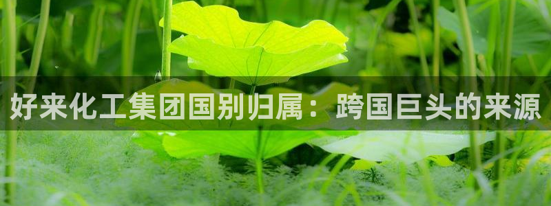 球盟会网页版：好来化工集团国别归属：跨国巨头的来源
