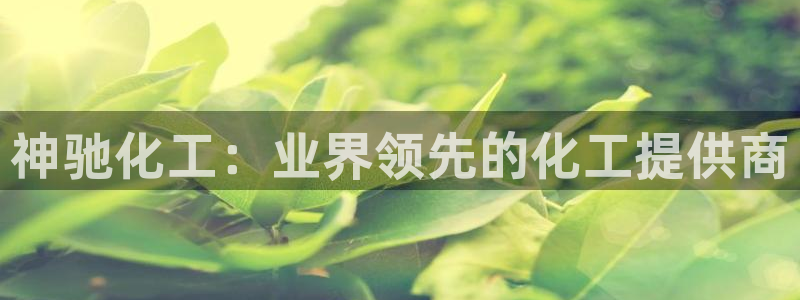 球盟会国际官网：神驰化工：业界领先的化工提供商