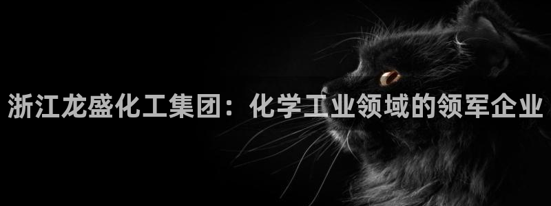 球盟会黑款吗