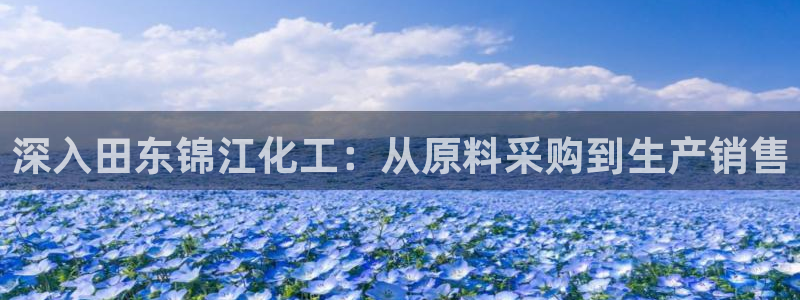 球盟会官网入口