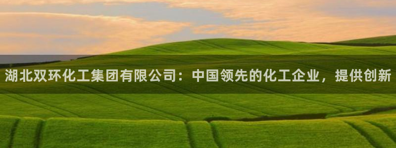 球盟会网址qm9 - 球盟会qmh网页版登录：湖北双环化工集