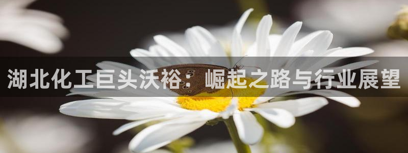 球盟会官方最新入口