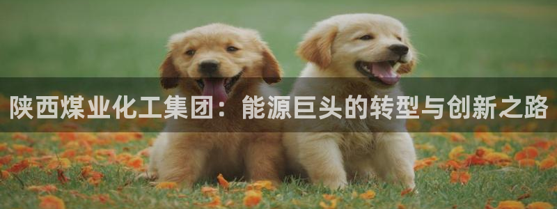 球盟会最新活动
