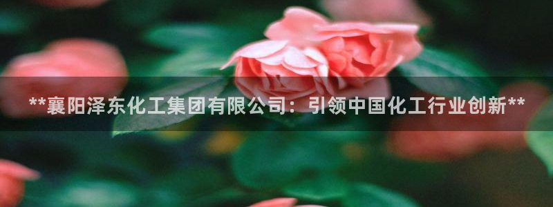 球盟会qm9：**襄阳泽东化工集团有限公司：引领中国化工行业