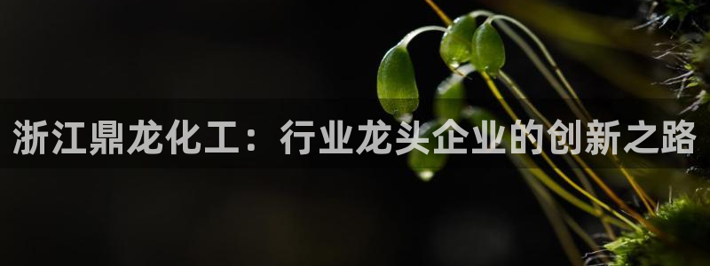 球盟会电子好下吗