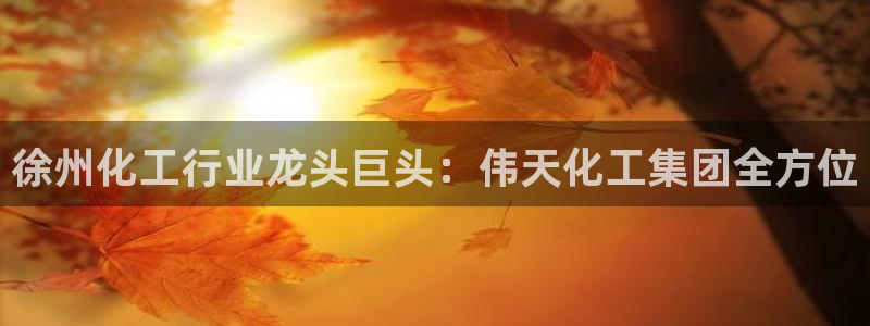 球盟会有限公司怎么样：徐州化工行业龙头巨头：伟天化工集团全方