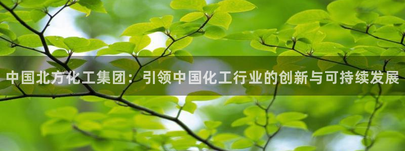 球盟会几点玩合适：中国北方化工集团：引领中国化工行业的创新与