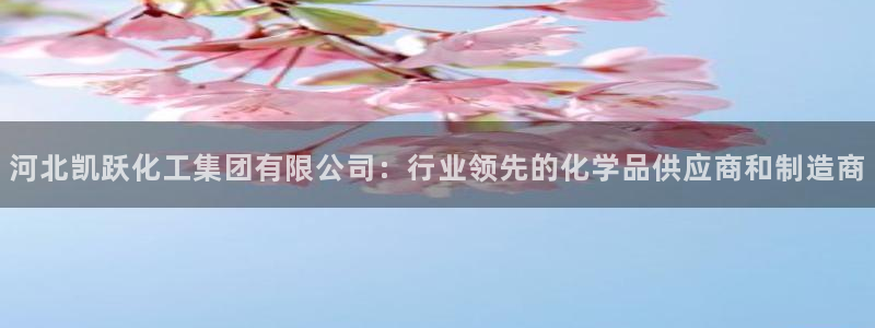 球盟会APP下载：河北凯跃化工集团有限公司：行业领先的化学品