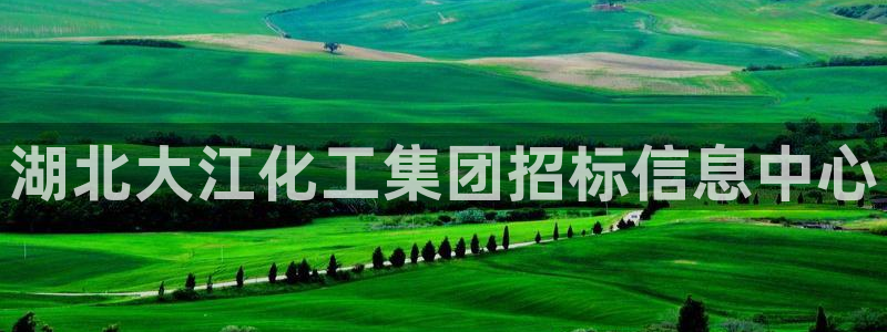 球盟会官方app首页入口