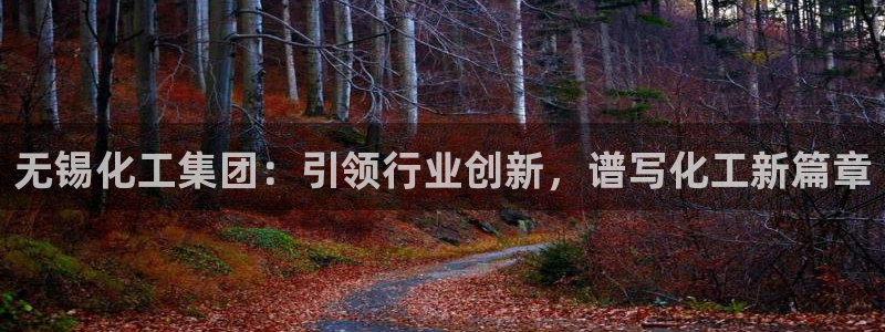 球盟会有限公司怎么样