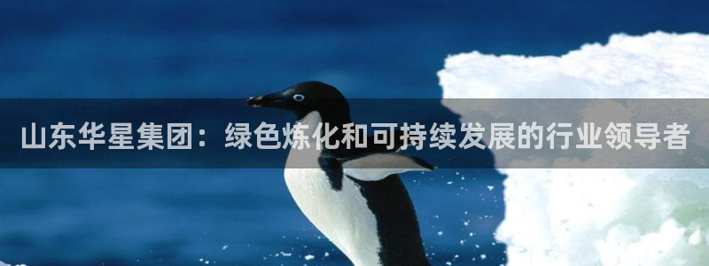 球盟会电子：山东华星集团：绿色炼化和可持续发展的行业领导者