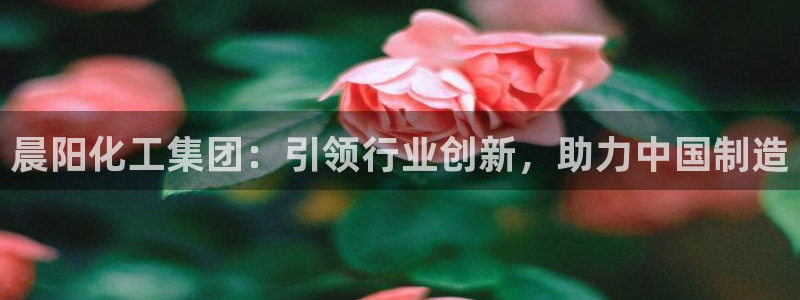球盟会黑台子吗