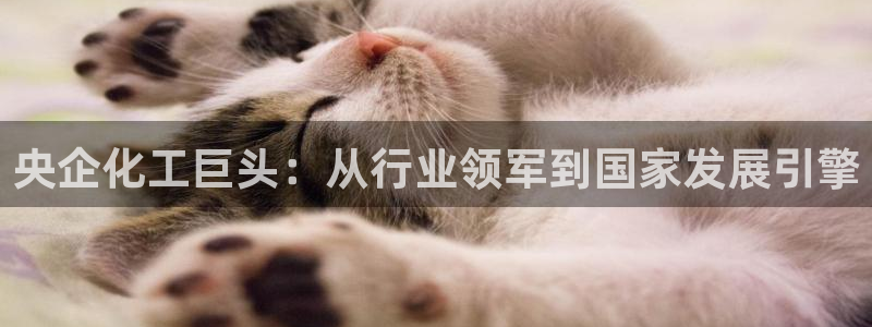 球盟会能退钱吗现在