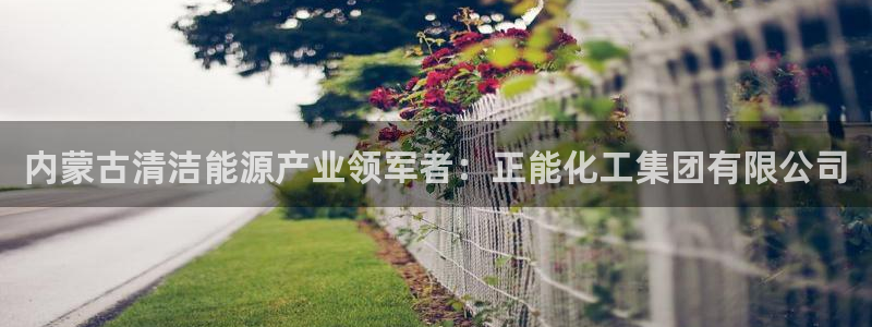 球盟会电子游戏平台：内蒙古清洁能源产业领军者：正能化工集团有
