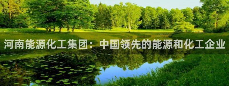 球盟会qm：河南能源化工集团：中国领先的能源和化工企业