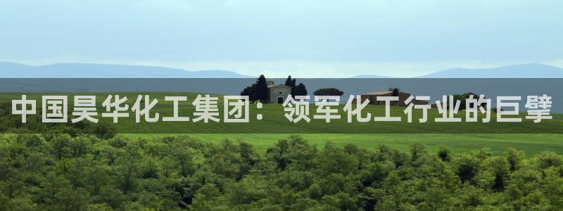 球盟会体育app官方网站