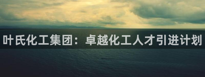 球盟会和中欧合作吗