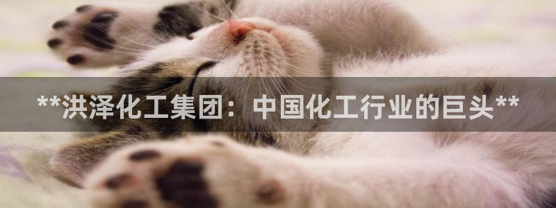 球盟会平台会黑单吗