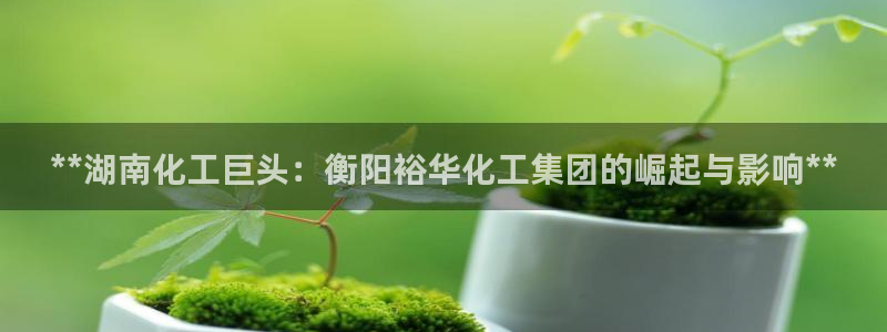 球盟会app手机登录：**湖南化工巨头：衡阳裕华化工集团的崛