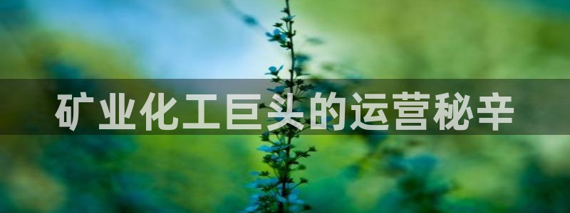 球盟会qm