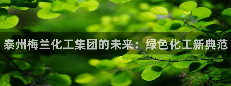 球盟会：泰州梅兰化工集团的未来：绿色化工新典范