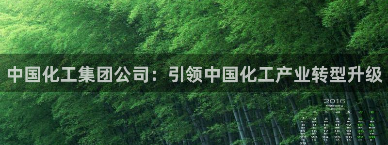 球盟会优惠领取网站是真的吗：中国化工集团公司：引领中国化工产