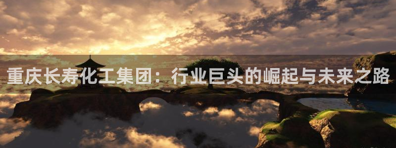 球盟会网页版
