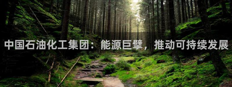 球盟会论坛
