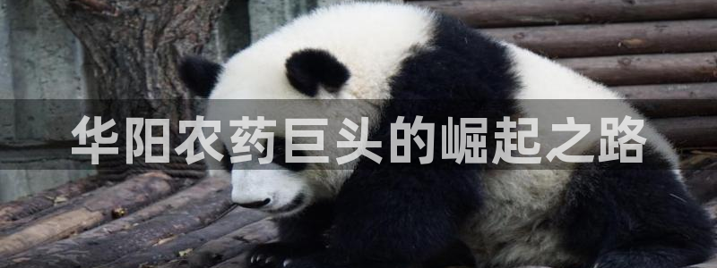 球盟会app安装